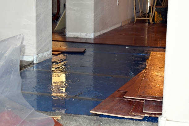 Professional Water Damage Restoration technician working in Blue Jay, CA